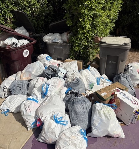 overflowing trash bins